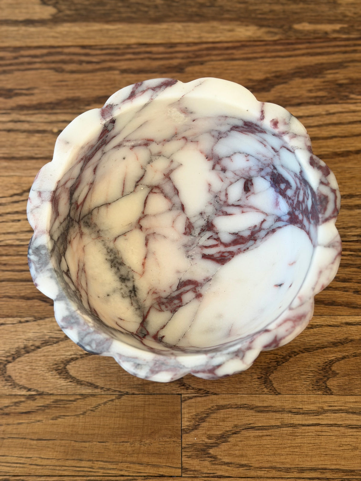 Scallop in Calacatta Viola I